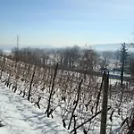 B&B Castello Di Camerletto 카셀레테