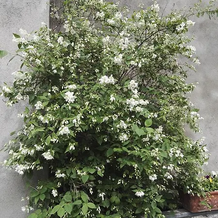 Castello Di Camerletto 4*