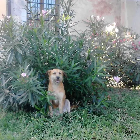 Castello Di Camerletto Caselette