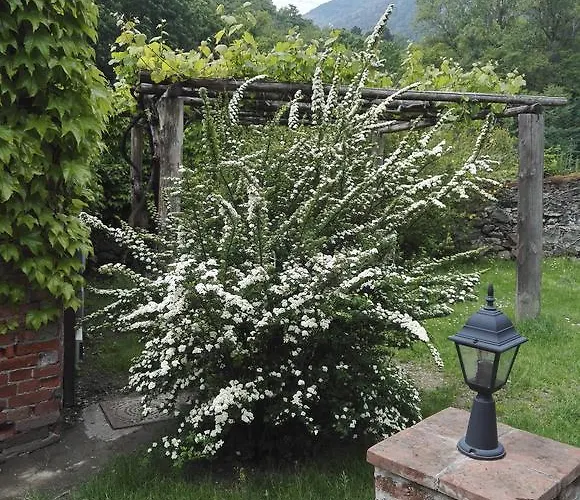 Bed & Breakfast Castello Di Camerletto Caselette
